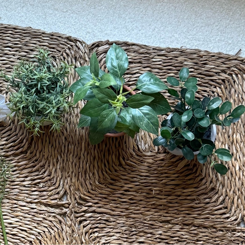 Set of Three Small Potted Green Faux Plants from Hearth & Hand